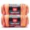 2 Pack Red Heart® Super Saver® Bitty Stripes™ Yarn